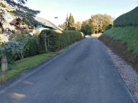 245530308_394522298963179_1076792383840573279_n