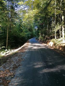 245238599_1045157536251458_177374123519027685_n