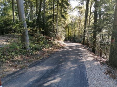 245499427_259126702669029_5353229065996354284_n