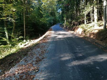 245590404_262241472581981_120184603226155044_n