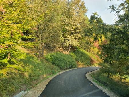 248363691_858652611429080_8146421384627379127_n