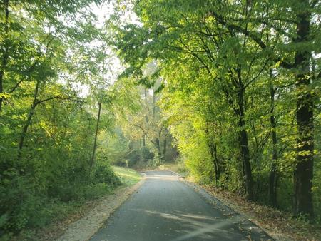 248888237_3117239105186921_2395270550399945431_n