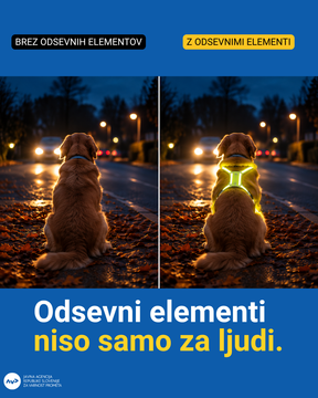 BODI VIDEN, BODI PREVIDEN