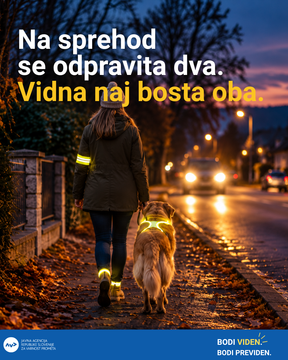 BODI VIDEN, BODI PREVIDEN